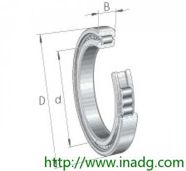 INA圆柱滚子轴承 SL185017-A