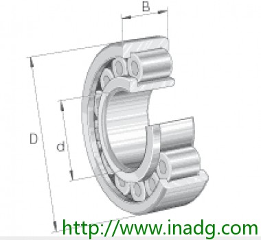 INA圆柱滚子轴承 SL192315-C3