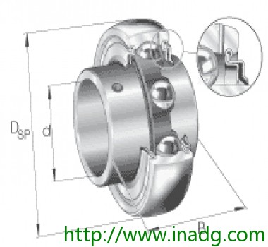 INA轴承 GYE60-KRR-B
