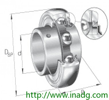 INA轴承 GYE65-214-KRR-B